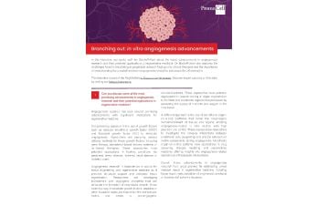 In vitro angiogenesis advancements - expert interview