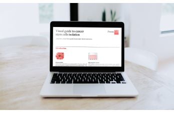 Visual guide to cancer stem cell isolation