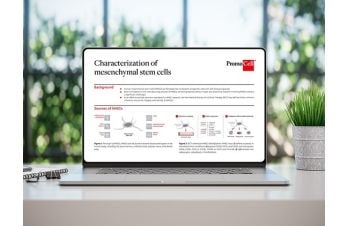 Laptop showing a poster "Characerization of mesenchymal stem cells".