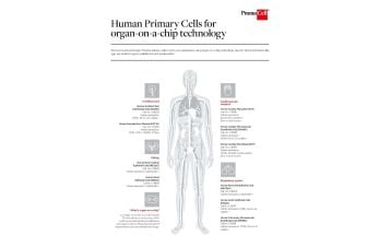 Human Primary Cells for organ-on-a-chip technology