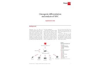 Osteogenic differentiation and analysis of MSC thumbnail