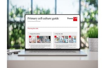 Primary cell culture guide: Thawing, freezing, and subcultivation