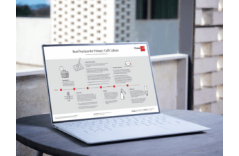 Best practices for primary cell culture