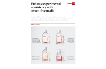 Enhance experimental consistency with serum-free media