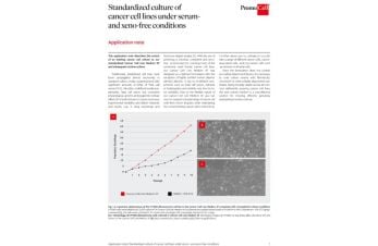 Standardized culture of cancer cell lines under serum and xeno-free conditions