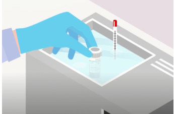 Thawing frozen cells – detailed protocol for human primary cells