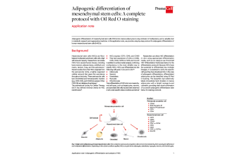 Adipogenic differentiation of mesenchymal stem cells: A complete protocol with Oil Red O staining