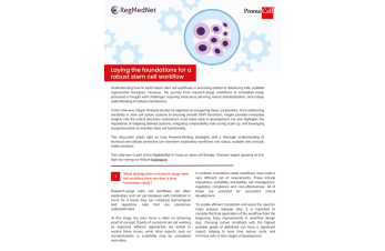 Laying the foundations for a robust stem cell workflow