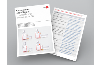 Other species and cell types compatible with PromoCell endothelial cells media