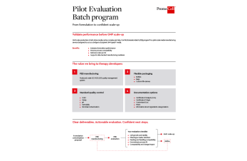 Pilot Evaluation Batch program