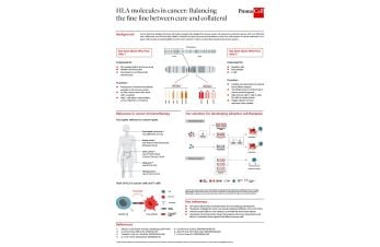 HLA molecules in cancer: Balancing the fine line between cure and collateral