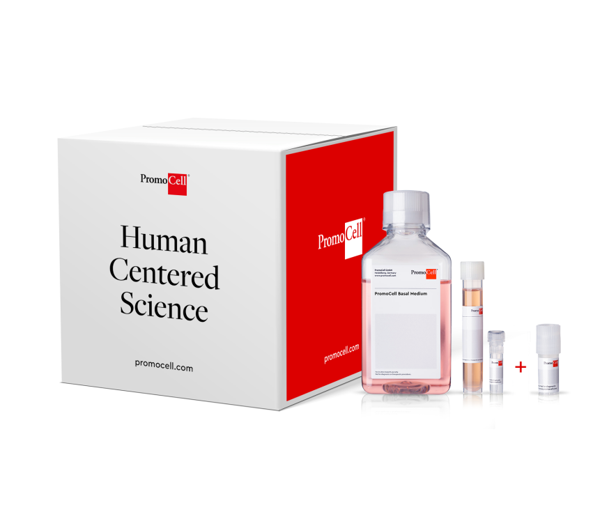 Cell KIT - Fibroblasts | PromoCell