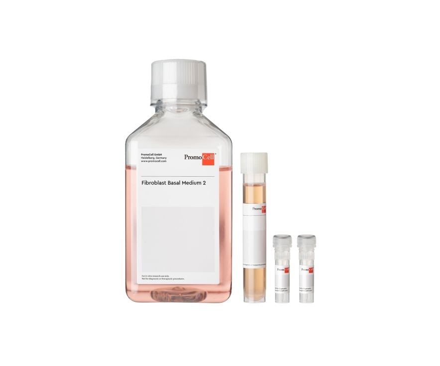 Fibroblast Growth Medium 2 | PromoCell