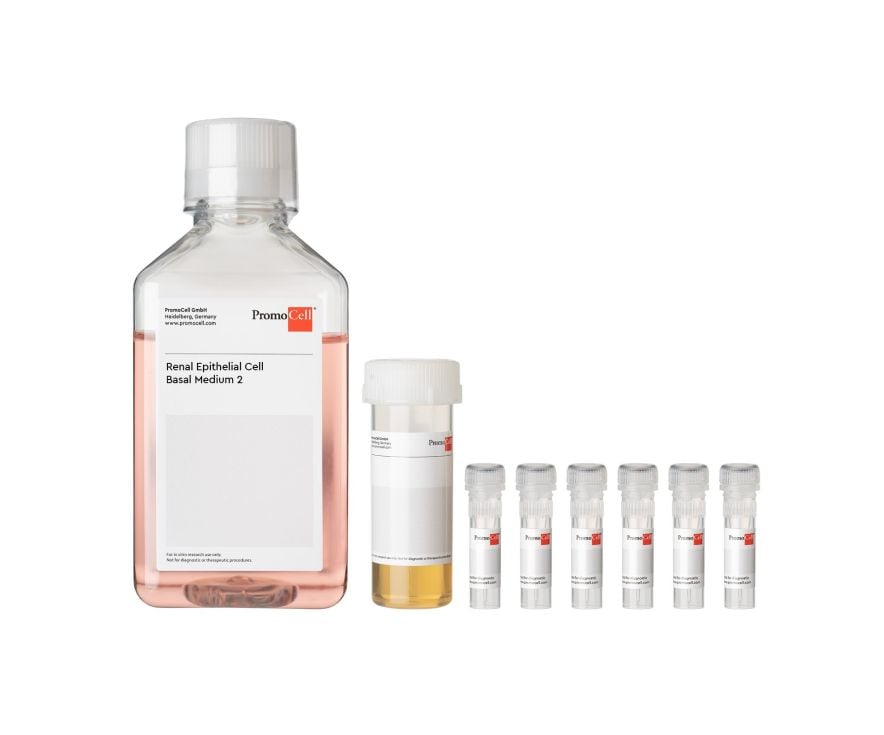 Renal Epithelial Cell Growth Medium 2 | PromoCell