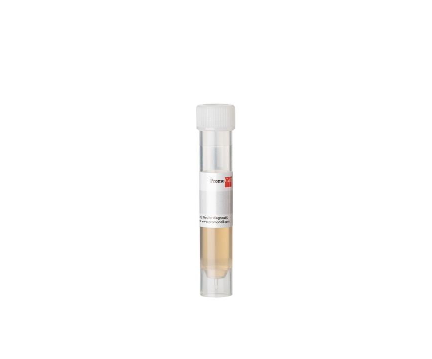 PromoCell Bovine Pituitary Extract (BPE), 7.5 mg protein/ml, 2 ml