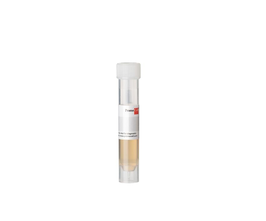 PromoCell Endothelial Cell Growth Supplement* (bovine hypothalamic extract), 2 ml