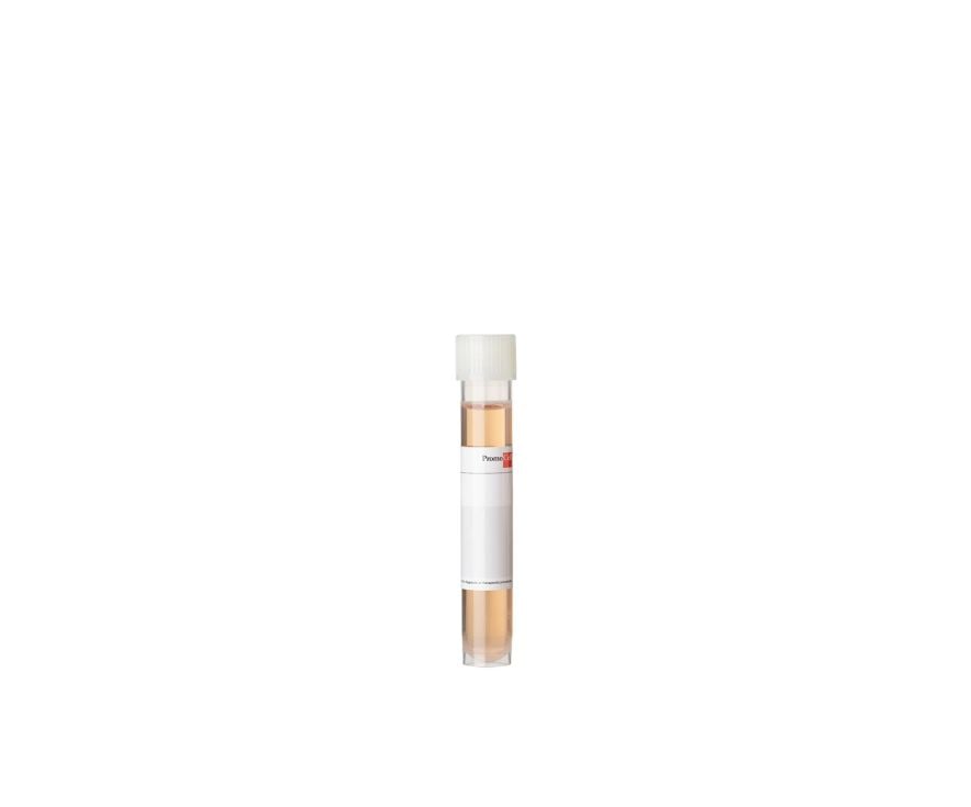 Fibroblast Growth Medium 2 | PromoCell