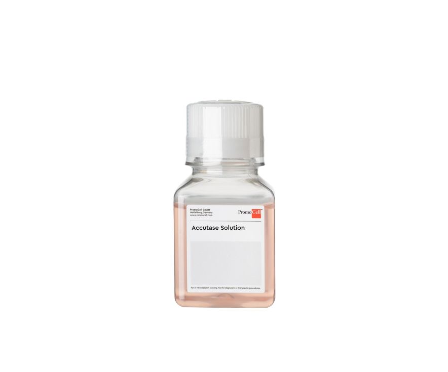 PromoCell Accutase-Solution