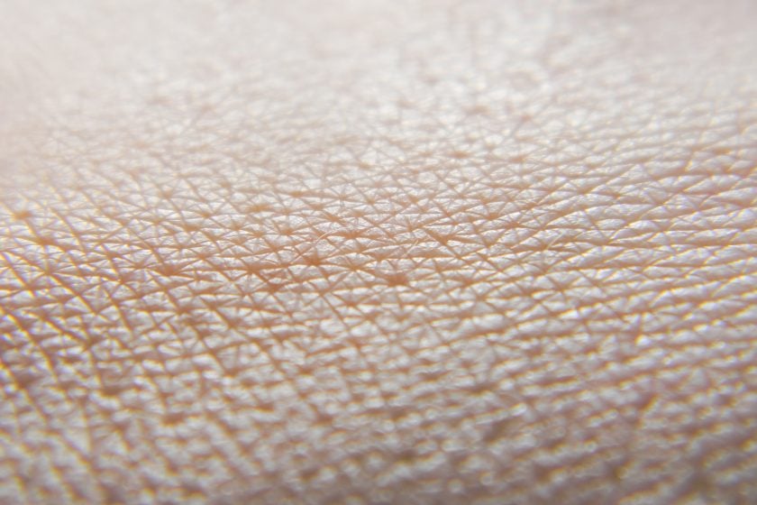 In Vitro 3D skin models