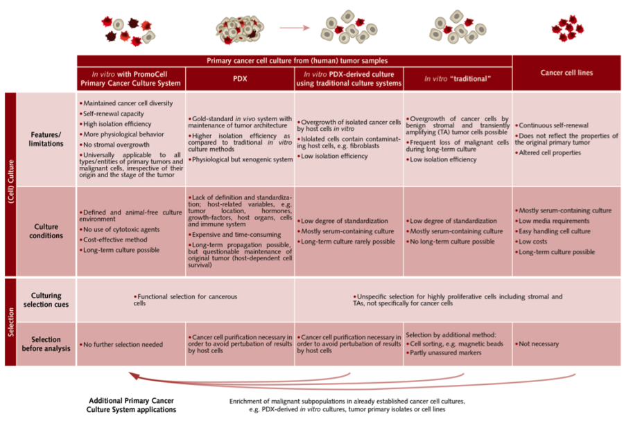Pros and Cons of primary cancer cell culture