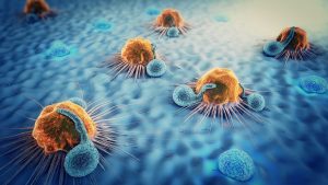 Cancer cells, lymphocytes, dendritic cells