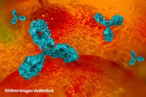 Antibody that is attached to a cell.