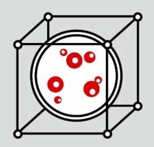 3D Cell Culture