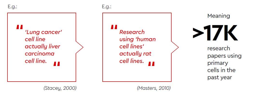 The use of cell lines in respiratory research
