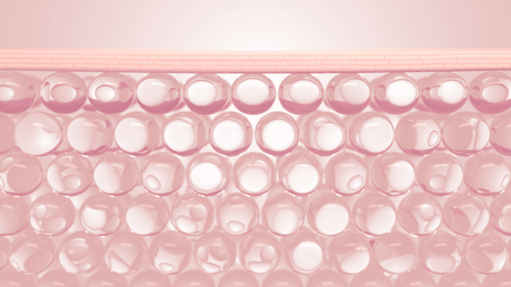 High Throughput 3D Wound Healing Model