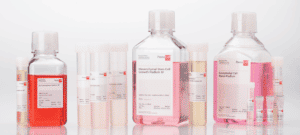 new labels promocell