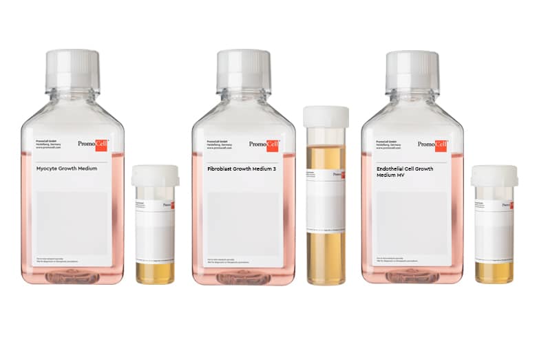 Cell culture media for primary human cardiac myocytes, cardiac fibroblasts and coronary artery endothelial cells for bioprinting of 3D heart models.