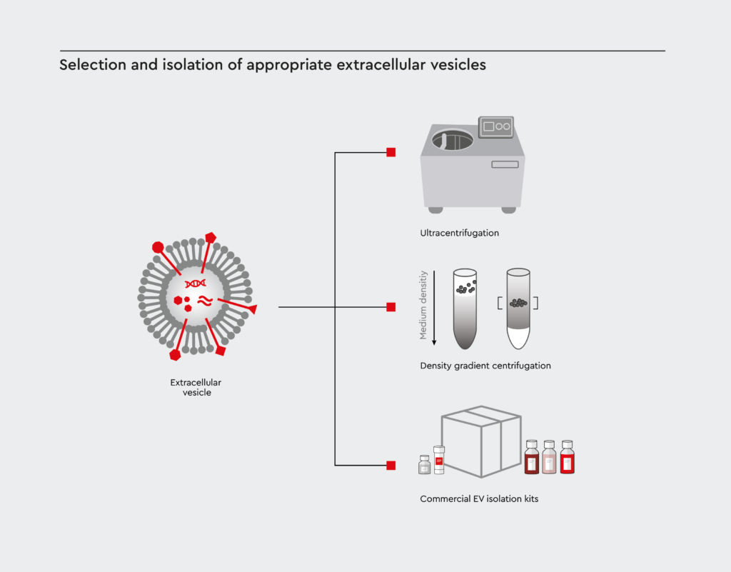 Methods for isolating cancer-derived EVs