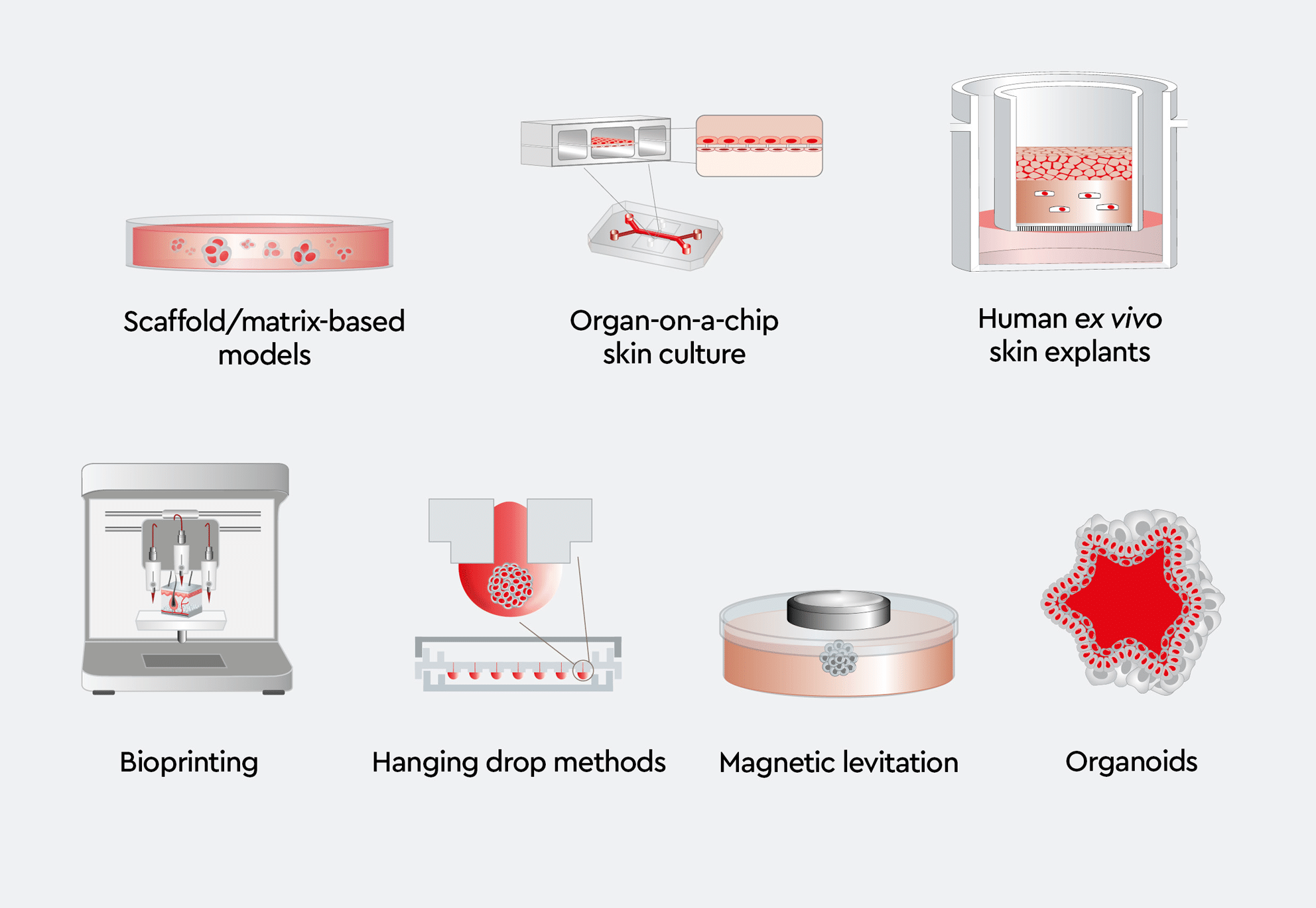 Figure 3: Emerging technologies in 3D skin modeling. 