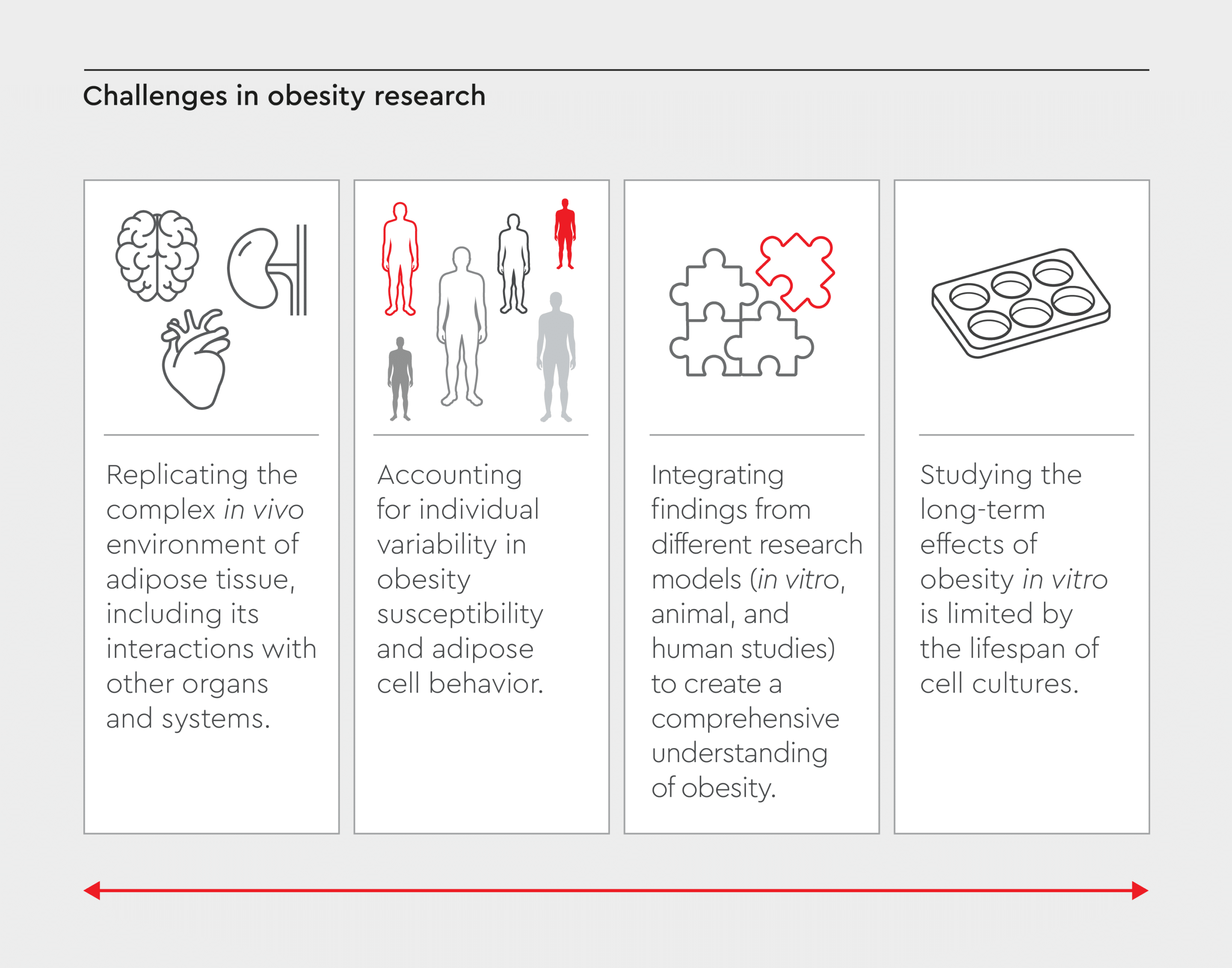 Challenges in the research of obesity, such as replicating the complex in vivo environment of adipose tissue, accounting for individual variability, integrating findings across research models, and studying long-term effects due to limitations of in vitro models.
