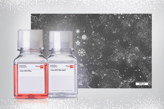 Cryo-SFM Plus Promotion - freeze your cells over the holidays