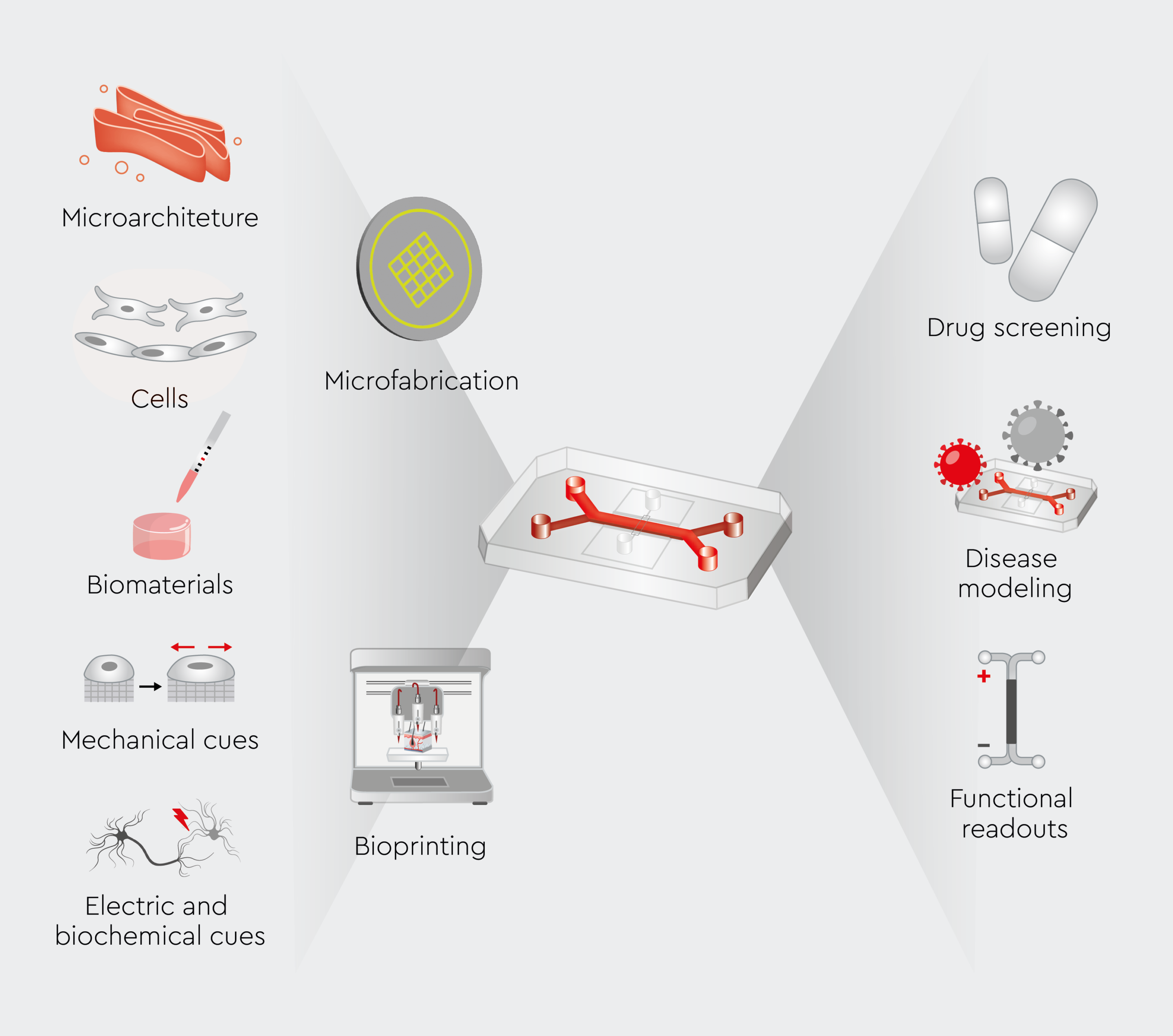Representation of organ-on-a-chip technology, highlighting the key components, structural layout, and design features of the system. This illustration showcases how microfluidic channels, cells, and various materials are integrated to simulate the functions of human organs for research and medical applications.