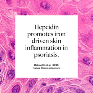 Citation of Abboud,E et al., (2024): Hepcidin promotes iron driven skin inflammation in psoriasis.