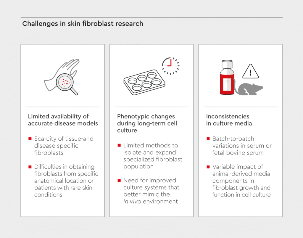 A visual overview illustrating the main challenges in skin fibroblast research. Highlighting issues such as the limited availability of accurate disease models, phenotypic changes that occur during long-term cell culture, and inconsistencies in culture media that affect experimental outcomes.