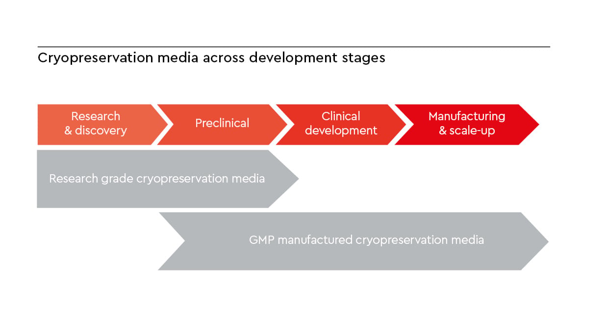 Developmental pathway highlighting the transition from research grade to GMP manufactured cryopreservation media.