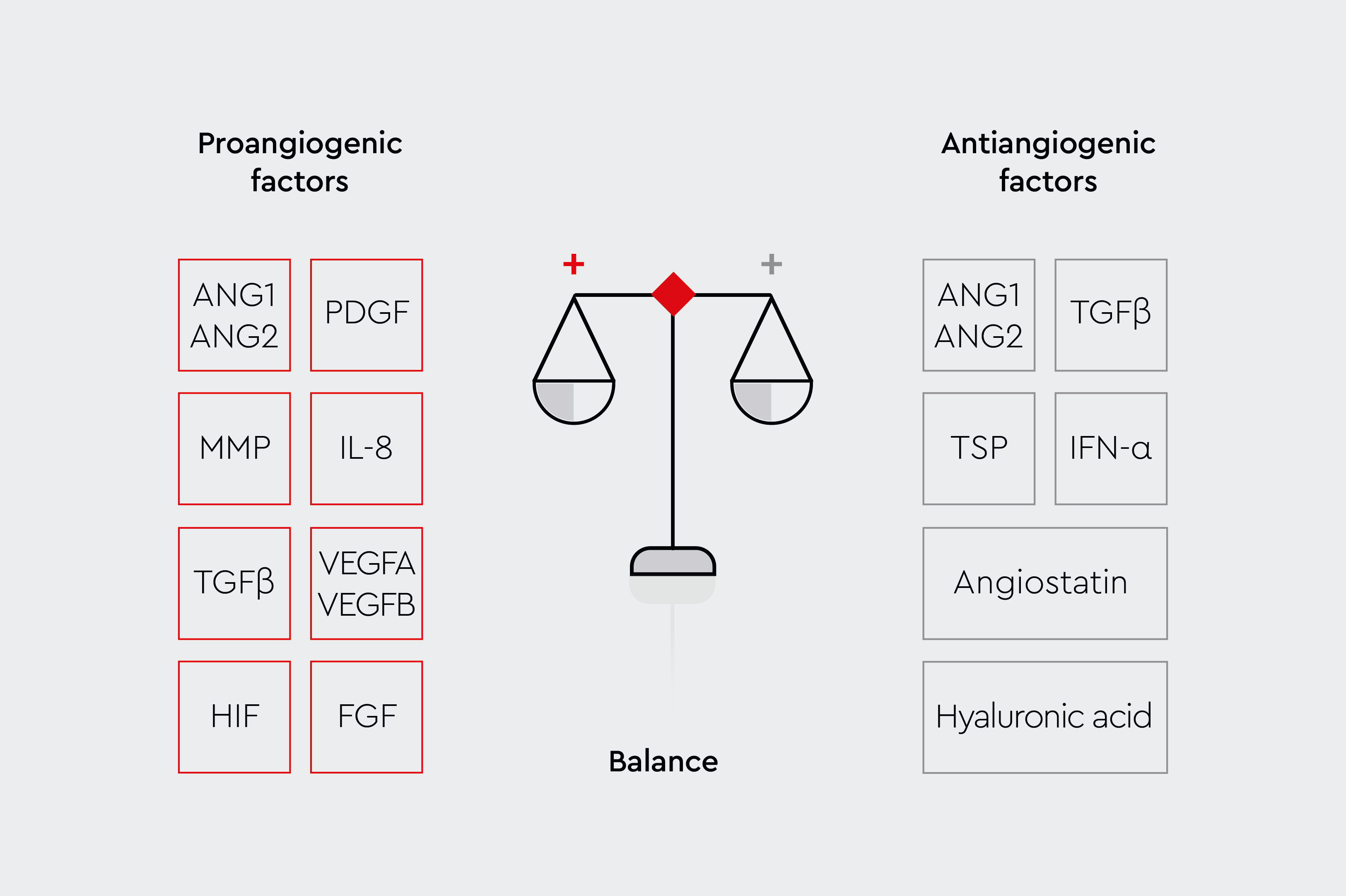 The different angiogenic factors: Pro-angiogenic factors (ANG1, ANG2, PDGF, MMP, IL-8, TGF&beta;, VEGFA, VEGFB, HIF, FGF) and anti-angiogenic factors (ANG1, ANG2, TGF&beta;, TSP, IFN-&alpha;, Angiostatin, Hyaleuronic acid).