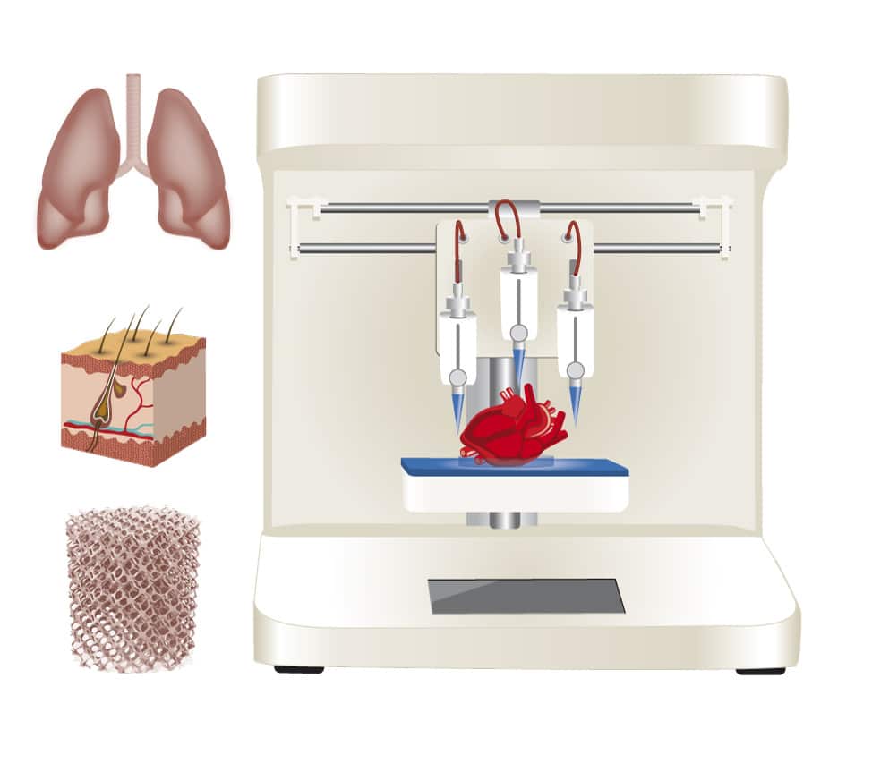 Bioprinting Infografic – 3D Cell Culture