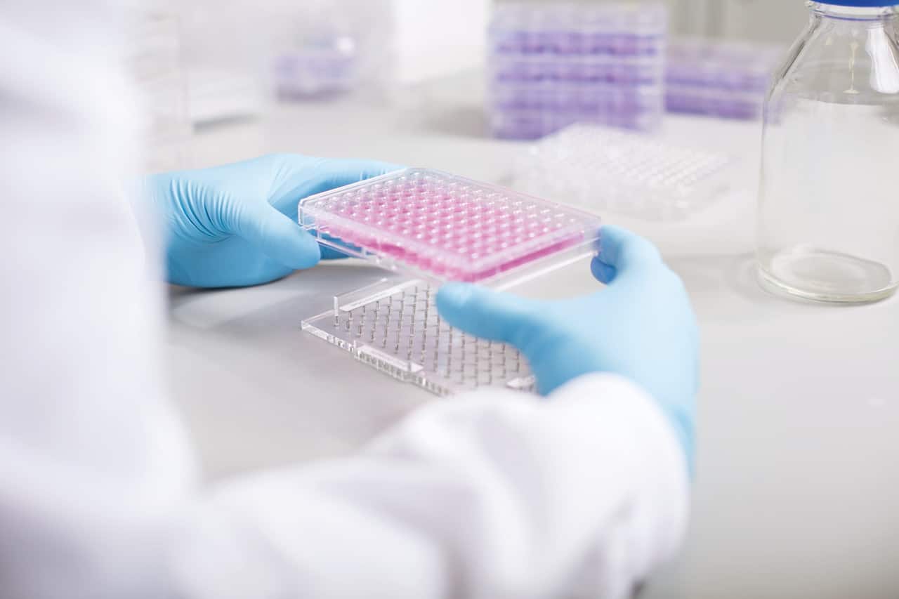 3D cell culture and magnetic forces