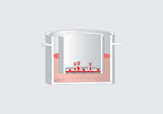 Air-liquid interface culture