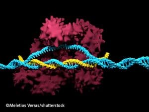CRISPR-Cas9