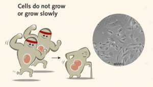 Are your cells not growing properly?