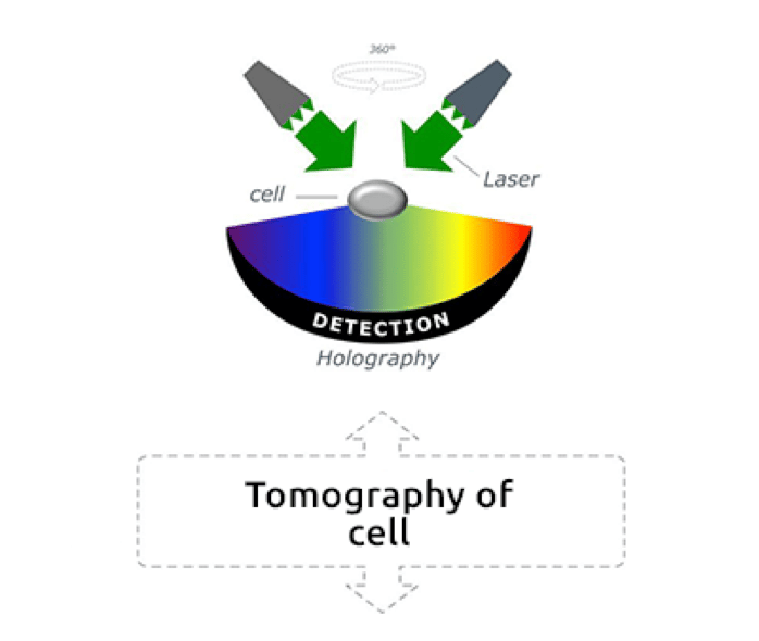 Holotomography Infograpfic