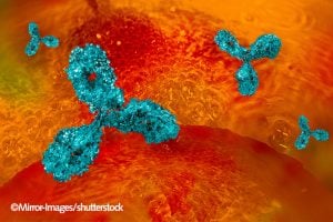 Antibody that is attached to a cell.