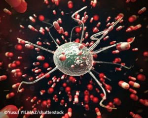 antibiotics-in-cell-culture-social-media