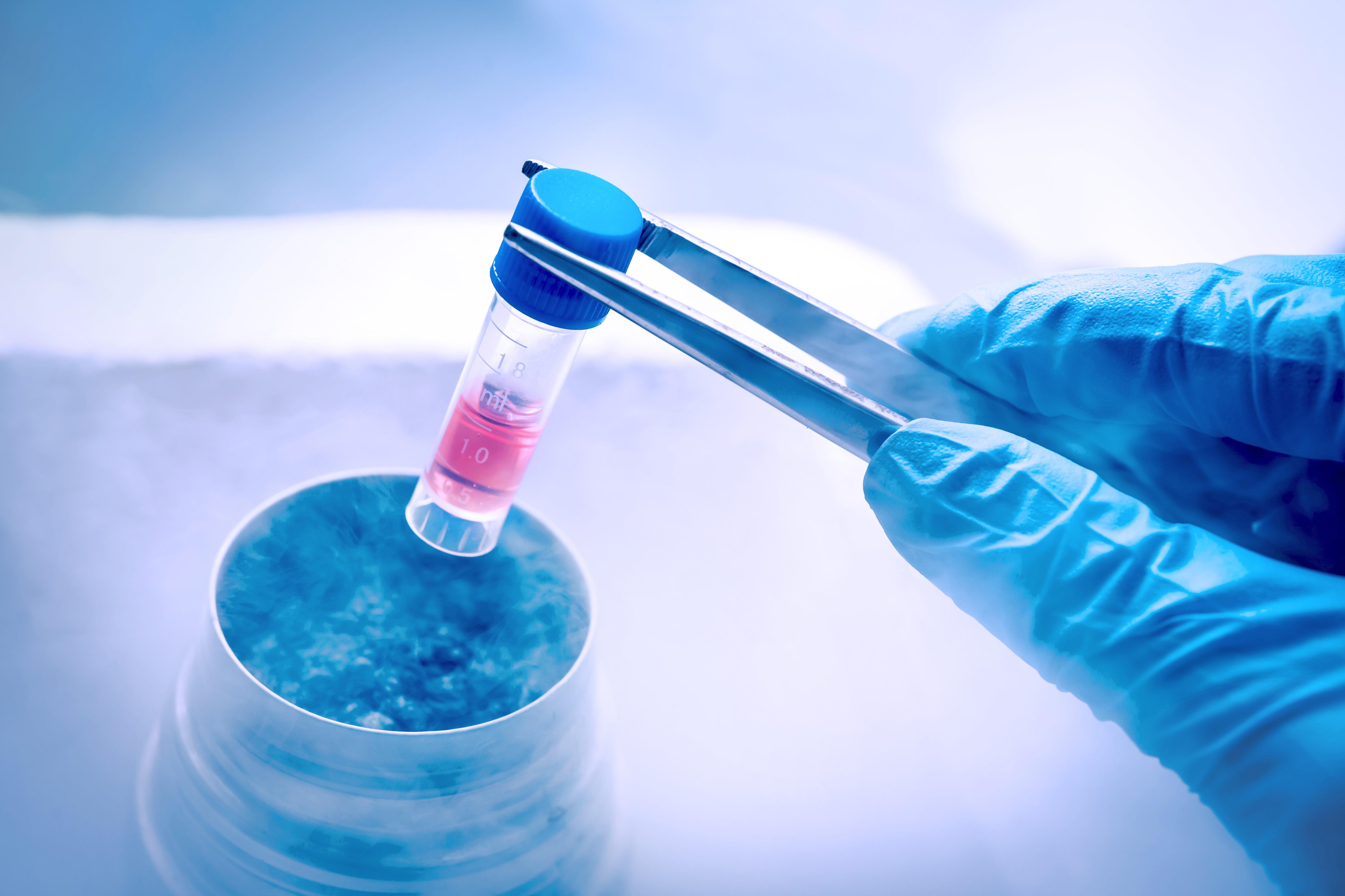 Are you preserving your stem cells correctly?