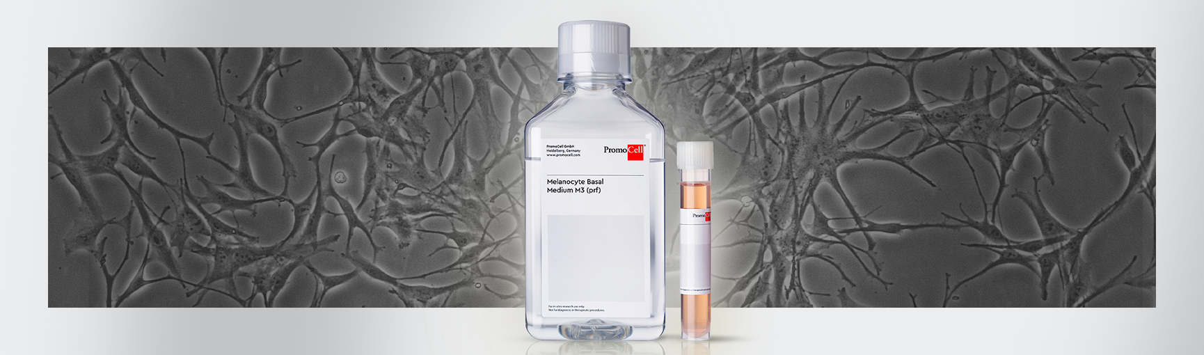 Melanocyte Growth Medium M3, phenol red-free